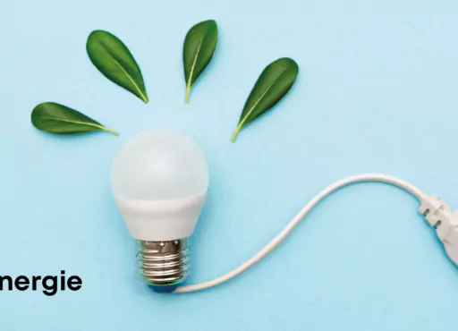 Certificats d’Économies d’Énergie